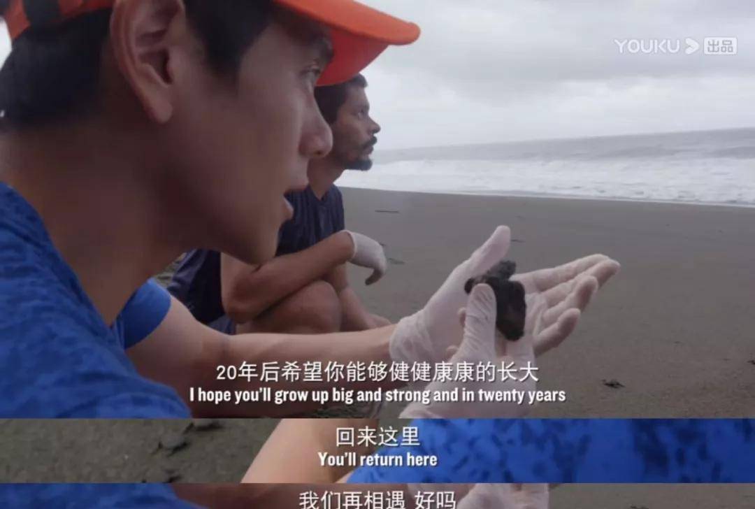 原创彭于晏私照曝光这使我看到了人性最丑陋的一幕善待每一个生命