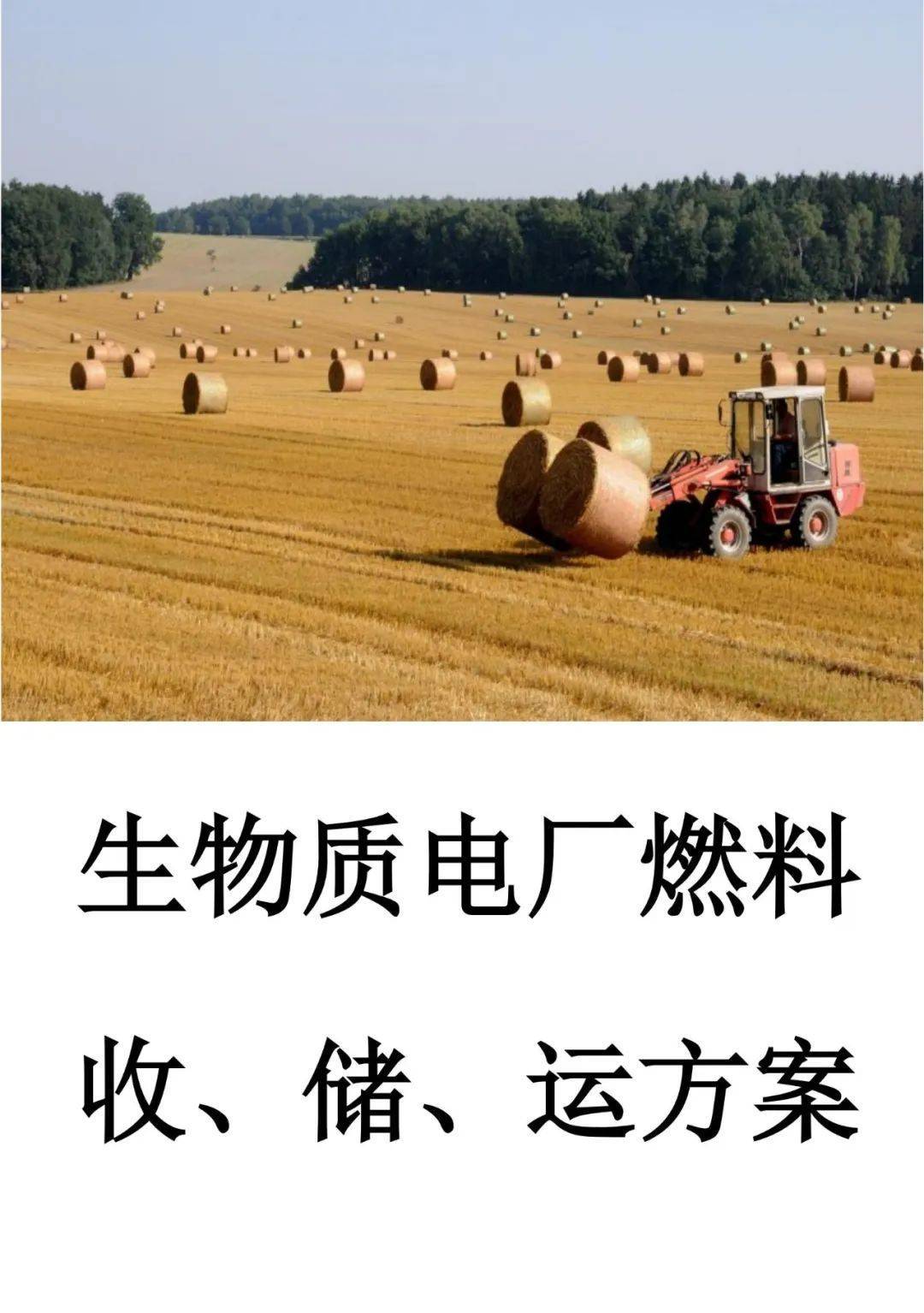 生物质能全景图市场规模落地方案项目案例与政策汇总