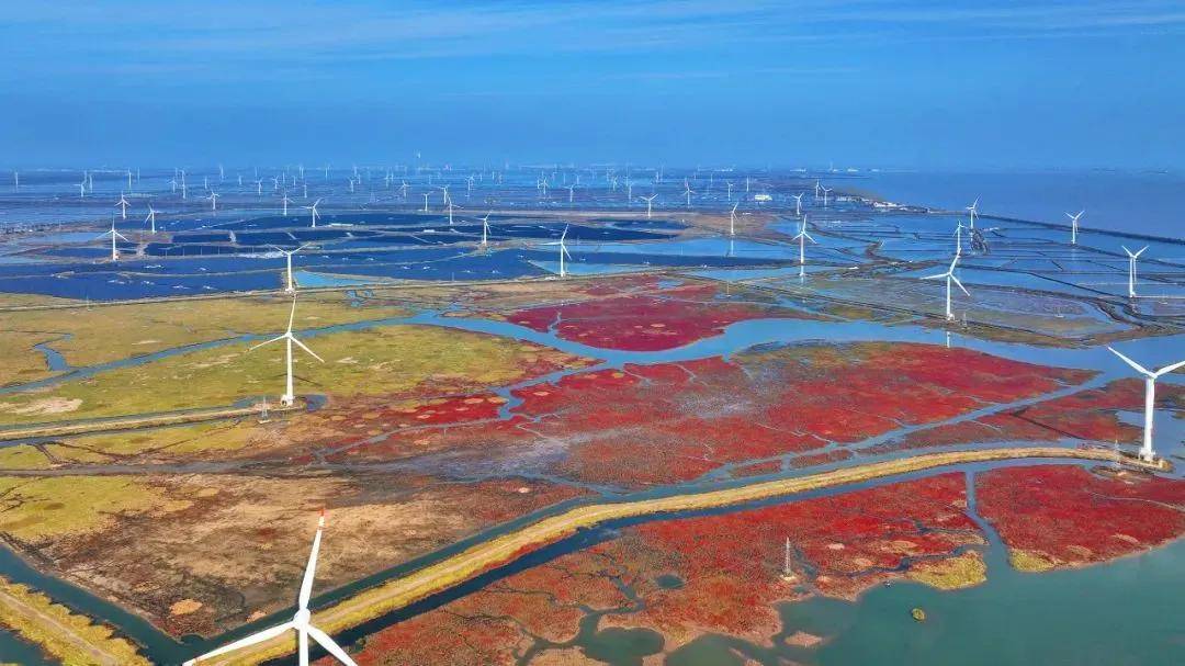 江苏盐城大丰区加速布局新能源产业……一望无际的滩涂之上,一座座