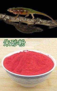 原创小龙女出事后守宫砂依旧在这是为何守宫砂早已没用了