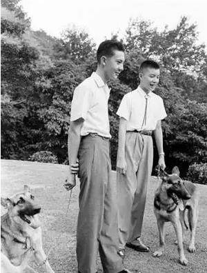 原创小伙打伤人被送进警局指着老蒋画像说那是我爷爷结局如何