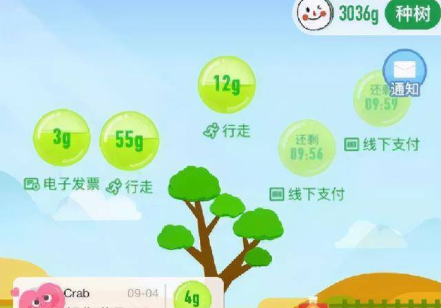 原创历时4年55亿人参与马云斥巨资打造的蚂蚁森林变成啥样了