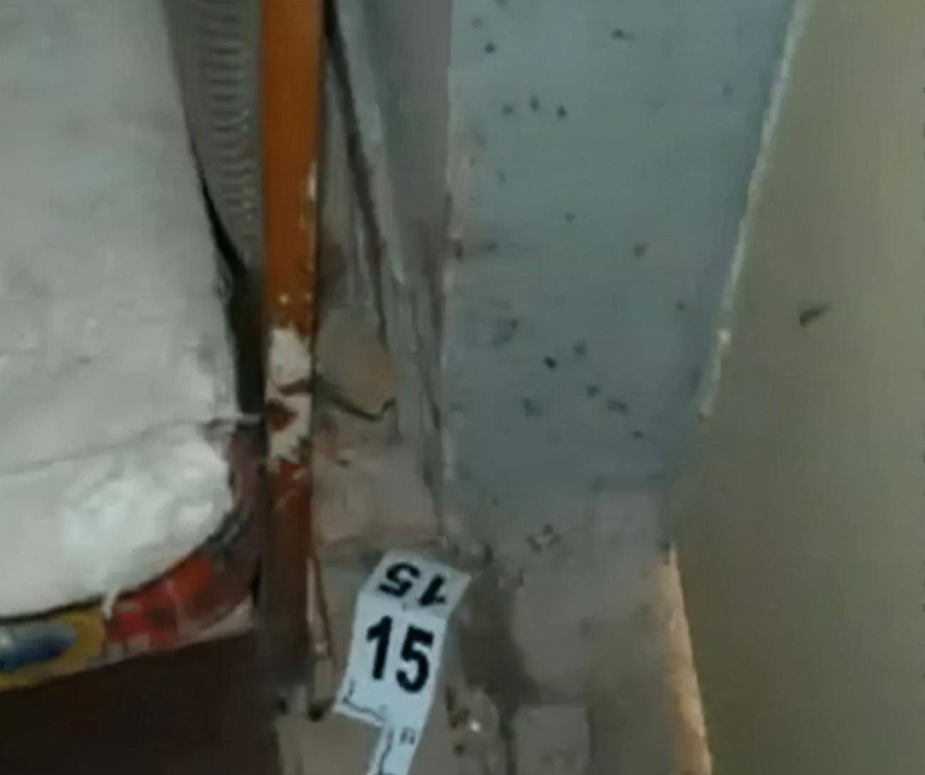 原创8年前四川26岁女大学生杀害生母被审讯时面带微笑为何