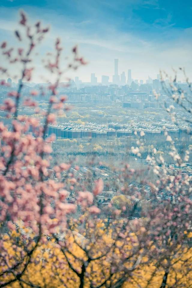 春天到了,万物复苏,又到了繁殖的季节 | 地球知识局_莲花池公园_北京_
