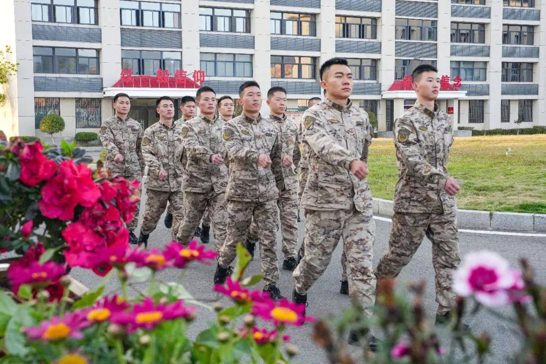 美图暴击军队文职备考壁纸这不就有了多图预警