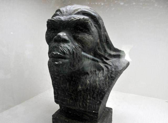 20世纪60年代,考古学家在云南发现了首块腊玛古猿化石.