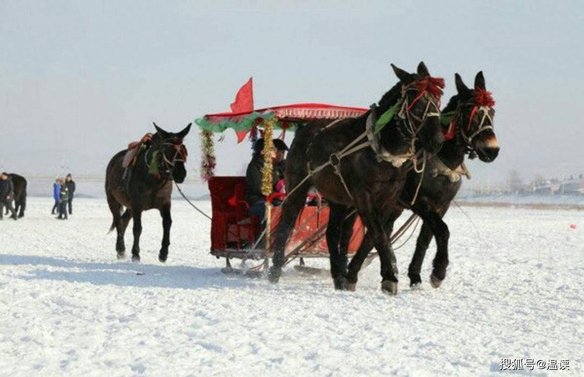 那时候,骡子车都是个稀罕玩意不是谁家都有的.