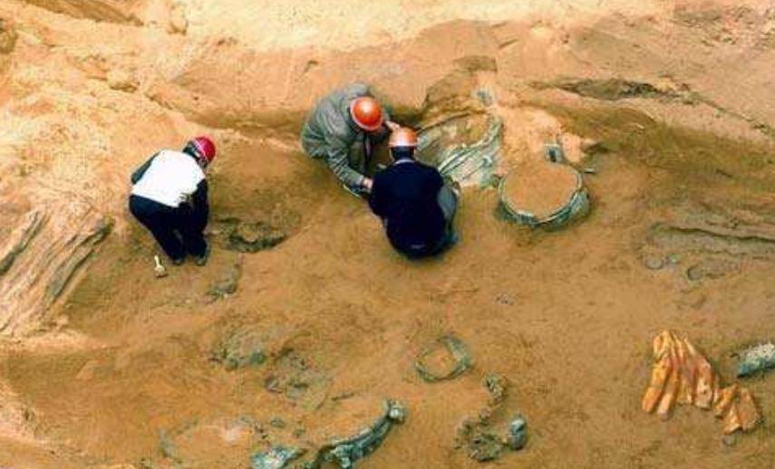 原创楚墓突现12个盗洞考古队气得无语5个月后却挖出1000多件文物