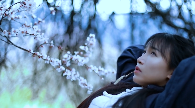 原创李子柒用桃花泪煲粥网友说这是什么神仙地方太美了