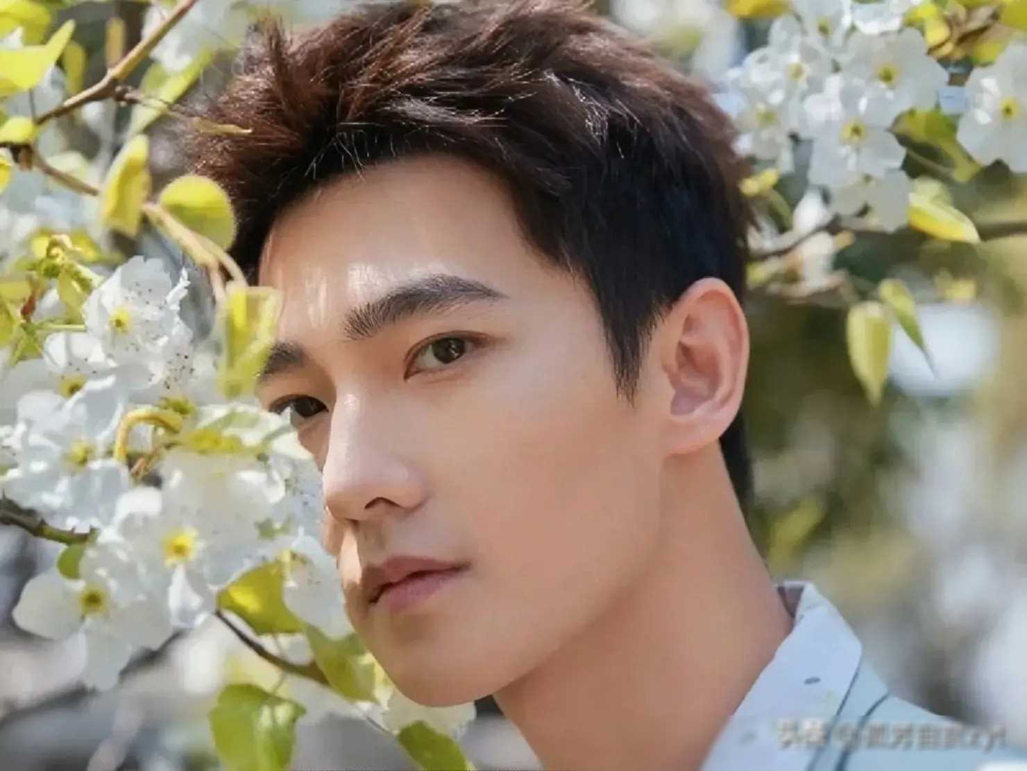 原创杨洋科普起来明星也能科普你了解吗