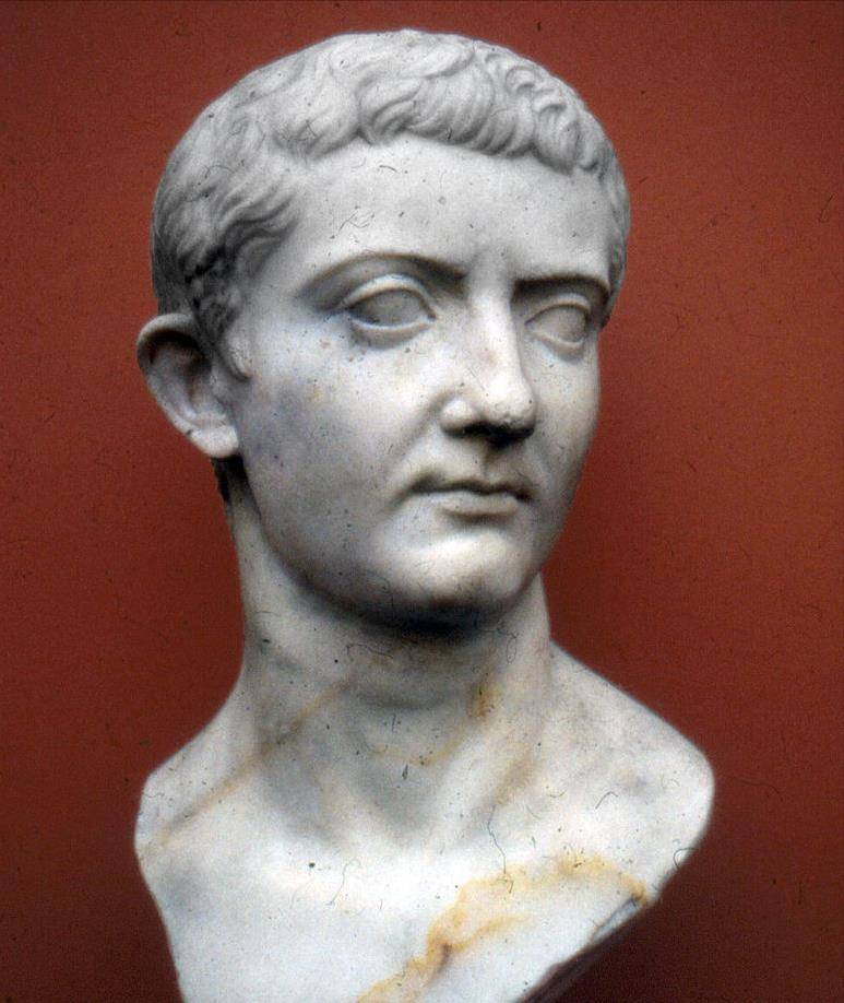 在朱里奥-克劳狄王朝时代,近卫军干预帝位嬗递的初试_统治_提比略