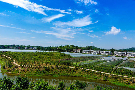 我的经历102退而不休活得有意思有意义28参加梁漱溟乡建25结对子反馈