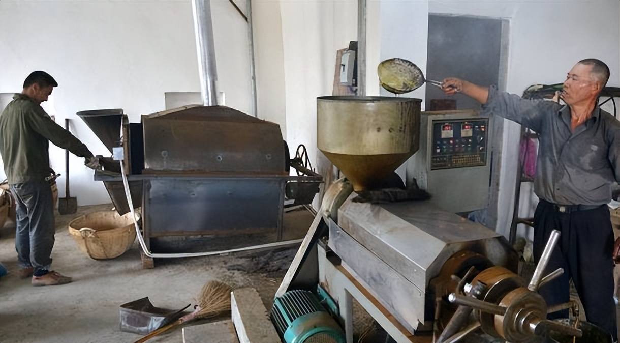 专家建议农村的自榨油不能吃含有致癌物应该封禁农村小油坊