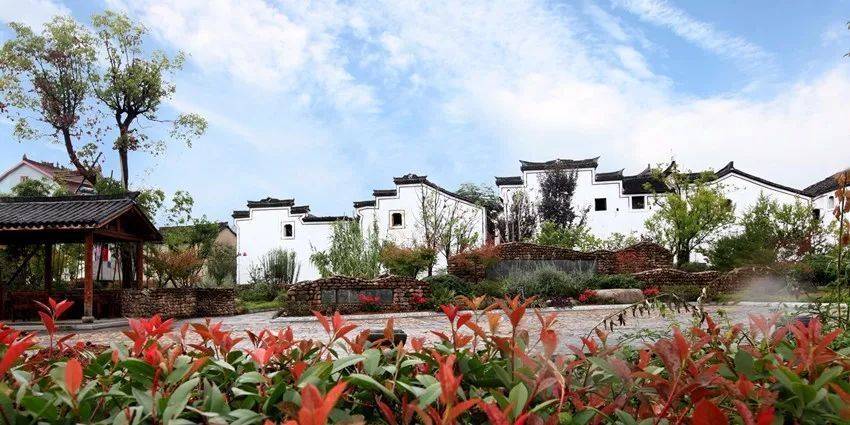 我的经历102退而不休活得有意思有意义28参加梁漱溟乡建25结对子反馈