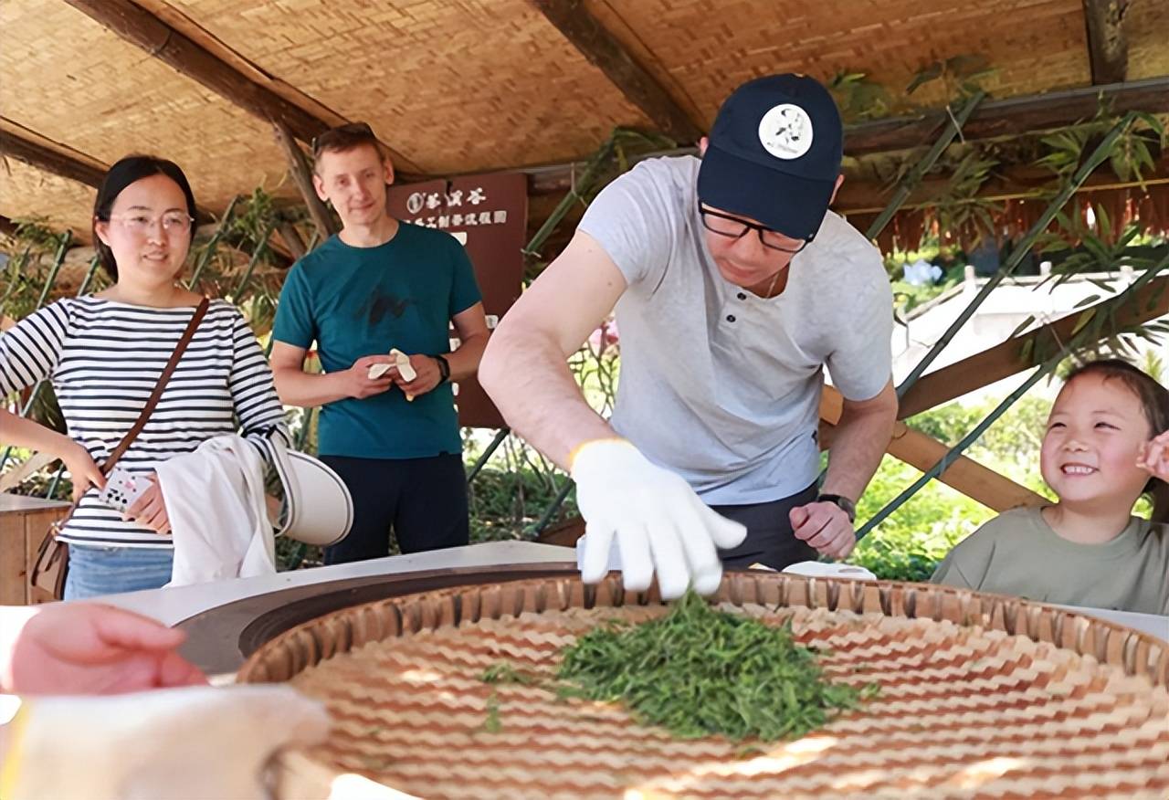 茶叶农家乐（茶叶农家食府） 茶叶农家乐（茶叶农家食府）《茶叶农家食府(旗舰店)》 茶叶资讯