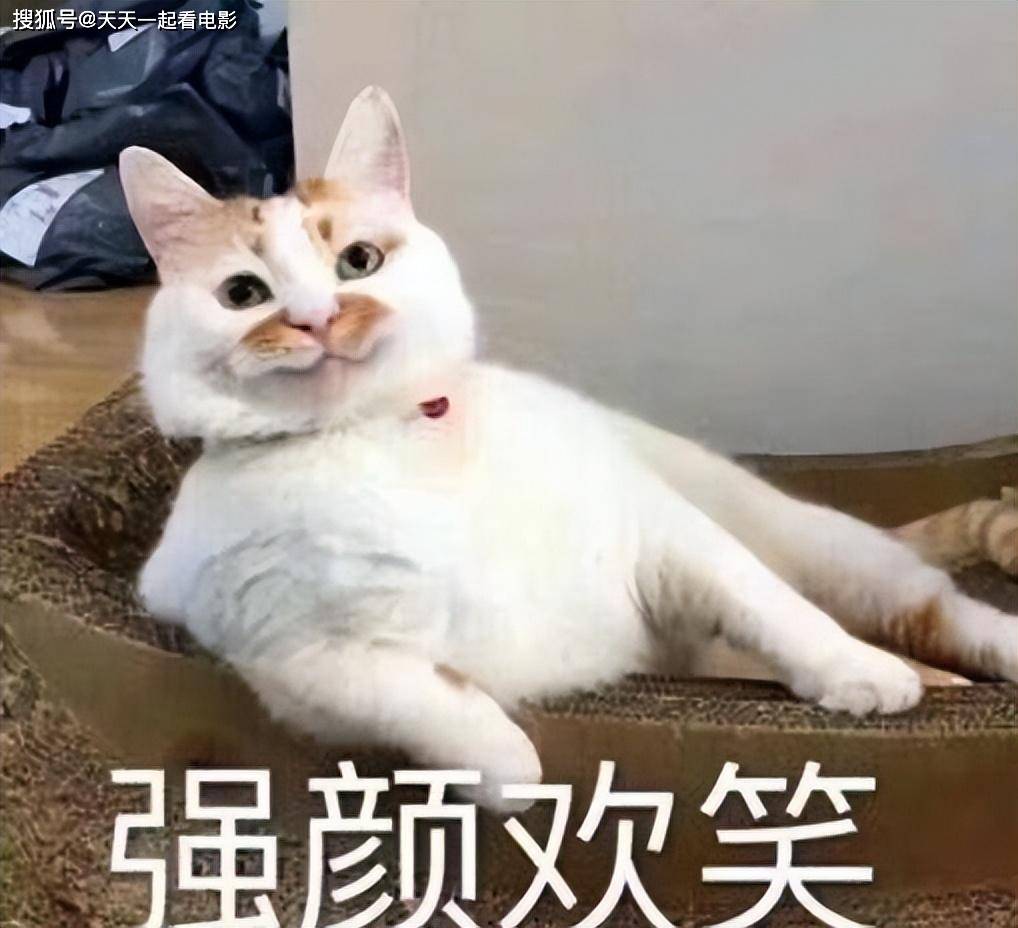 原创赵丽颖大女主新剧开机要演娘化真汉子网友担心尺度大被删减