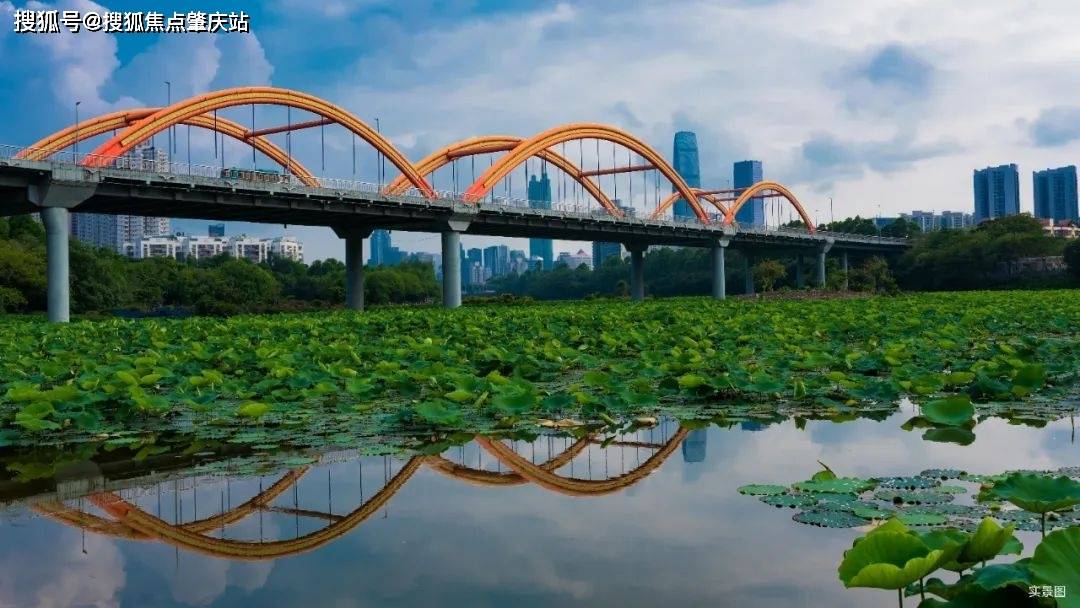 凌云华府户型图基础信息