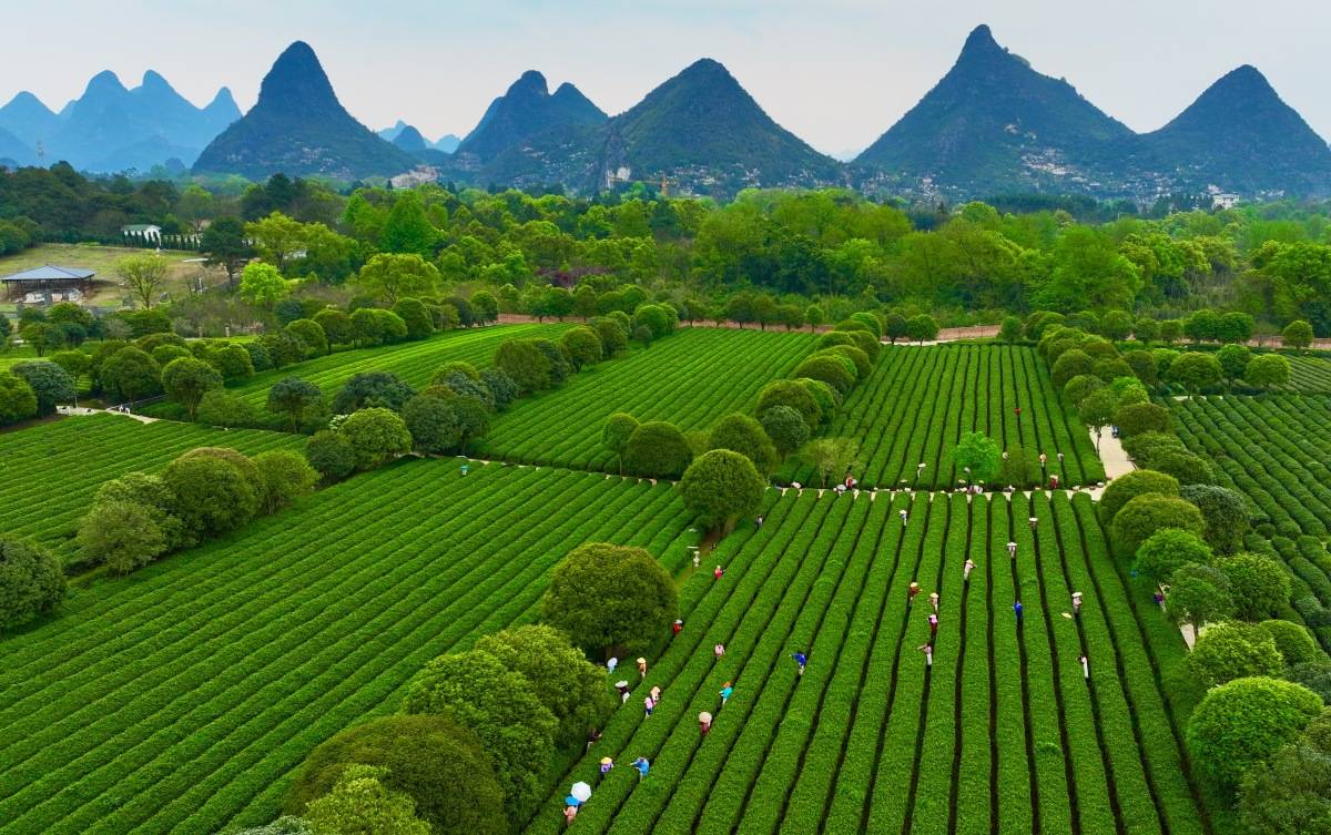 桂林尧山景区好玩嘛这篇攻略带你快速了解这座秀丽的景区
