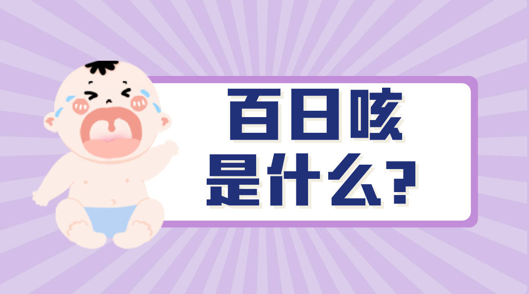 今年已致13死百日咳究竟是什么