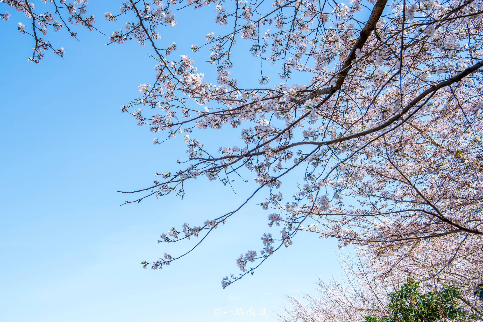 春天的贵州太美了经典打卡点独个数跟我一起去旅行吧