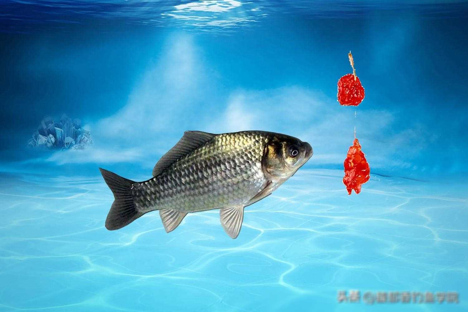 原创四个钓鱼口诀不够用这三个技巧填补钓鱼知识的空缺