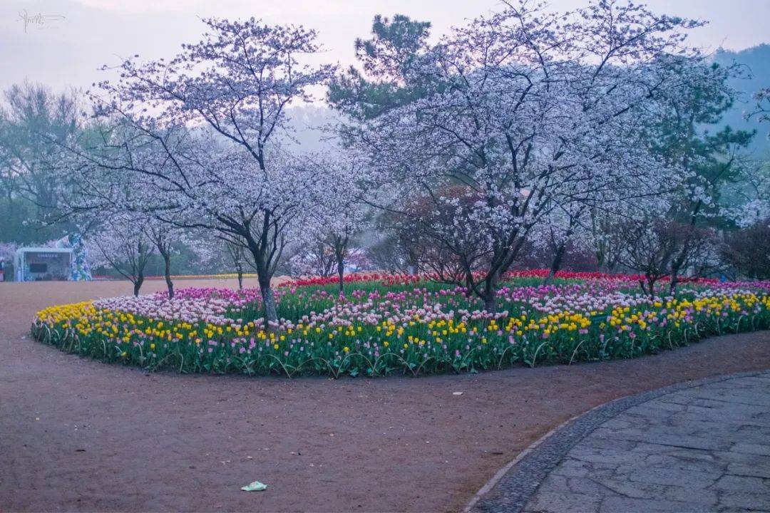 原创太子湾的风景很美难得去一趟却深感商业味重了环境也不如从前