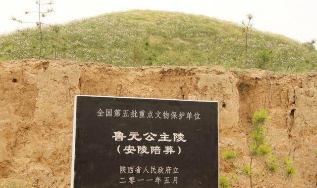 原创盗墓贼在她墓里与民警僵持半小时两人因墓葬级别过高而不敢动手