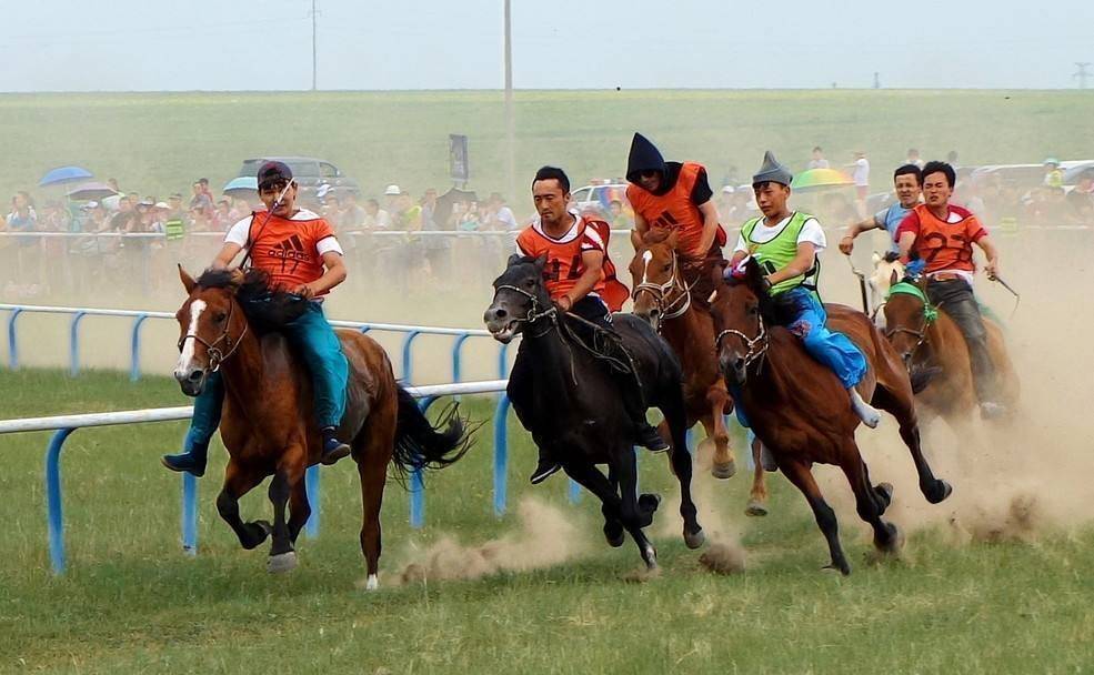草原上的狂欢蒙古族盛典那达慕大会怎么来的有何历史渊源