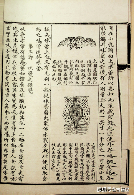 中医舌诊古籍辨舌指南民国石印本