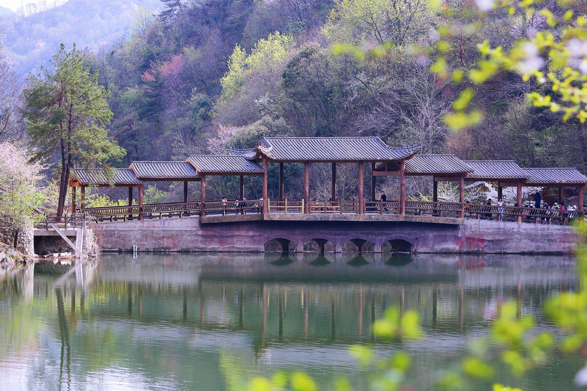 武汉黄陂清凉寨,环境优美,樱花盛开,是一处远离喧嚣的世外桃源_景区_