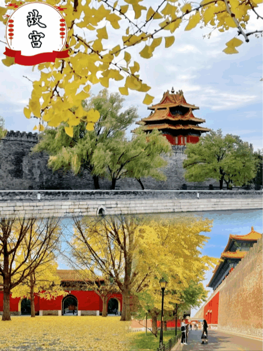 北京跟团五日游多少钱一个人北京参团5天游人均费用