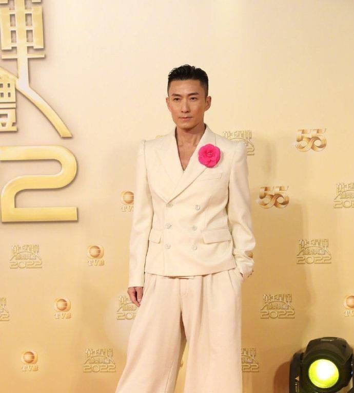 年轻艺人接棒上位,陈炜大热倒灶再错失视后_陈山聪_角色_林敏聪