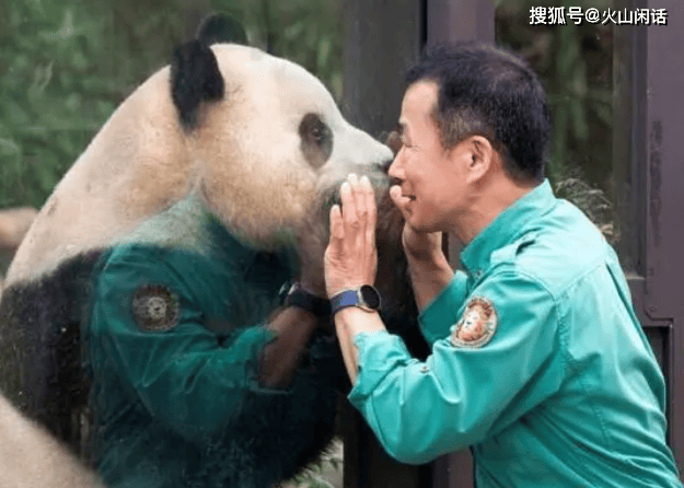 粉丝含泪送别,饲养员大爷抵着车门泣不成声_中韩_大熊猫_民众