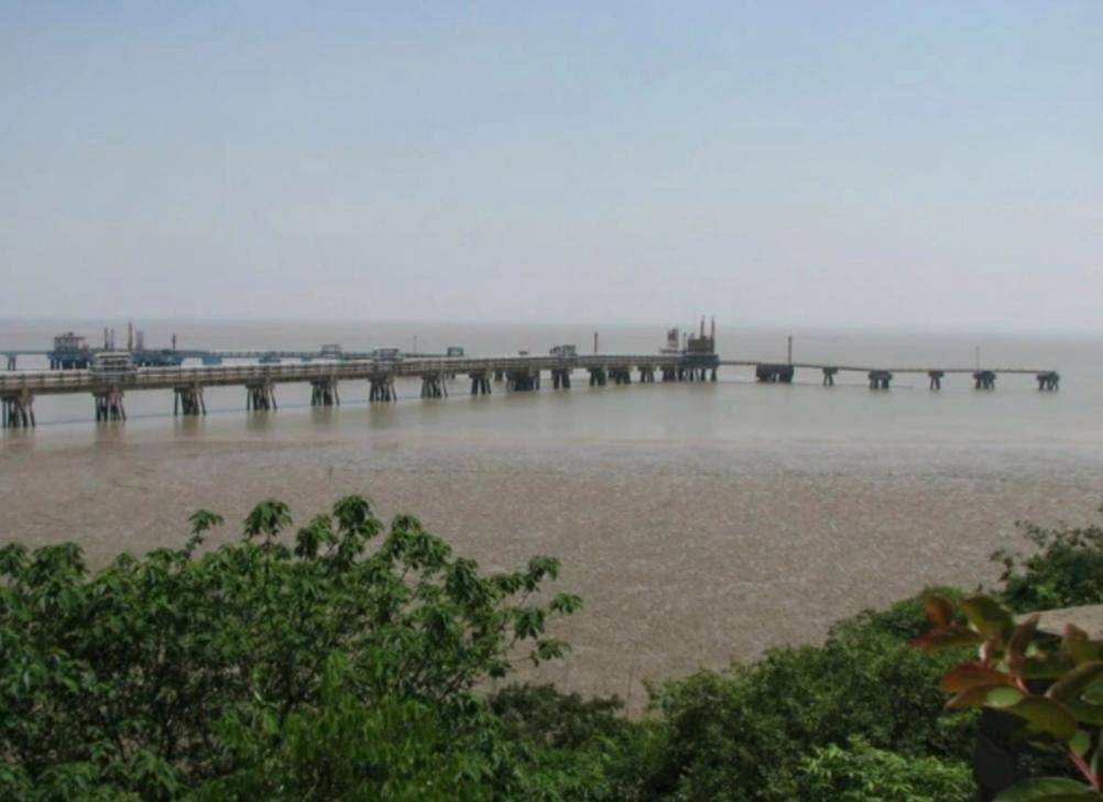 原创嘉兴平湖九龙山国家森林公园形态万千