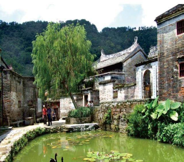 安排上了这个五一带你玩转肇庆美丽乡村