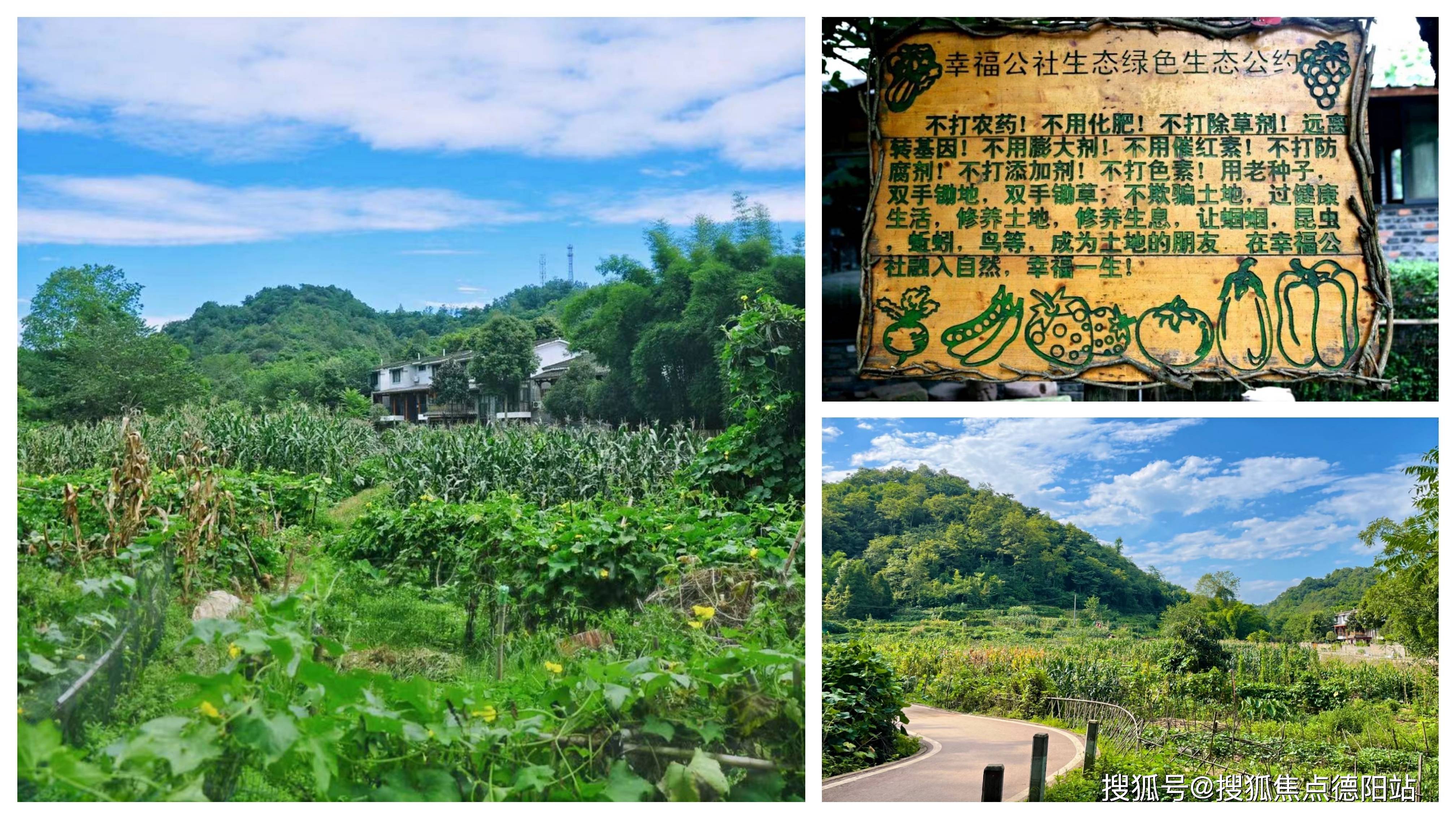 成都幸福公社怎么样70年山景洋房花园叠拼清水楼盘详情预约看房