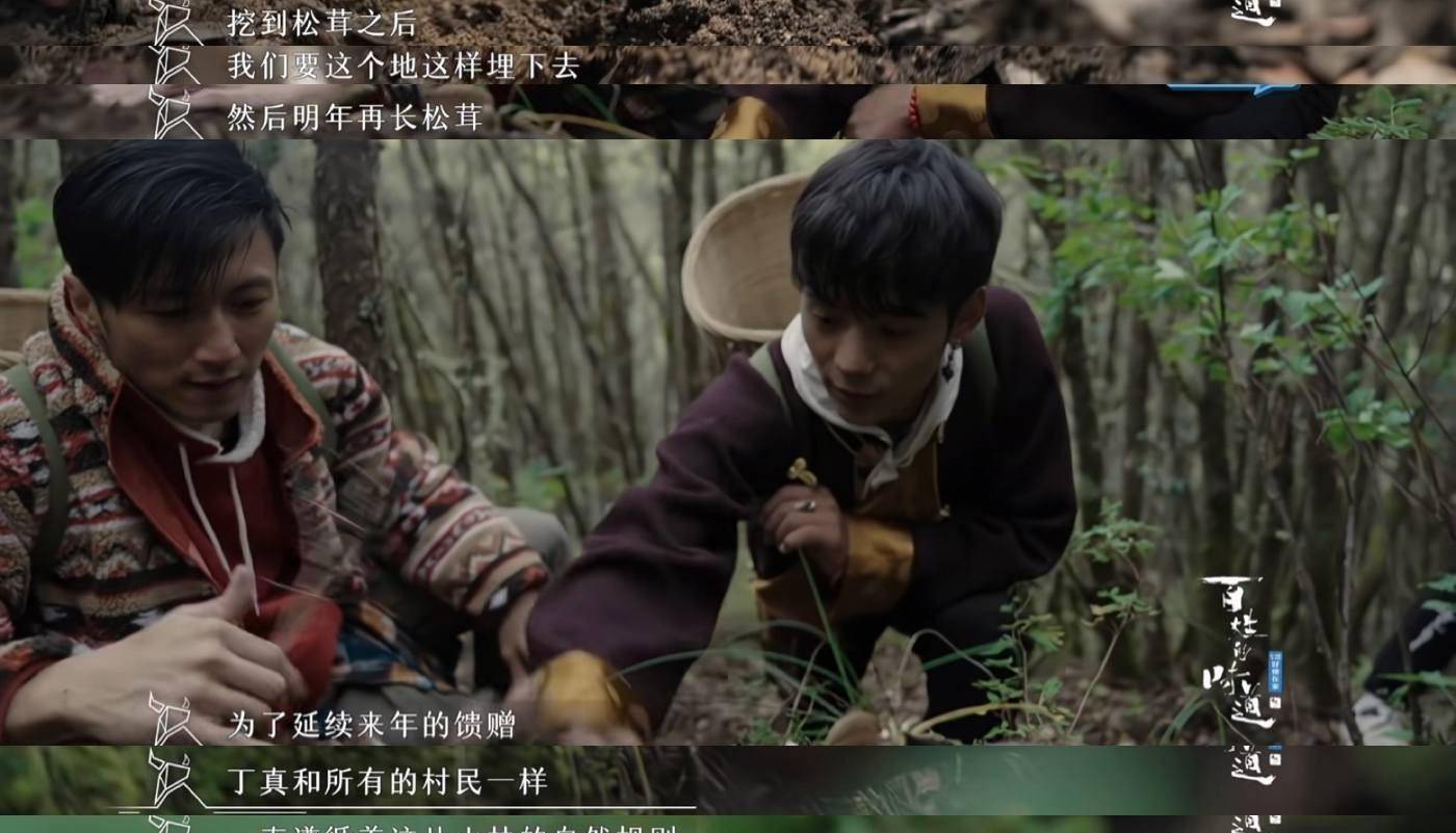 原创丁真偷偷跟谢霆锋说了啥亮相弹幕的那句话观众要笑不活了