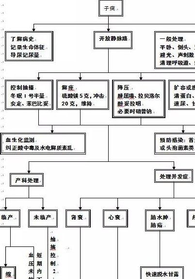 强心,利尿:西地兰0.4mg,速尿20-40mg4.