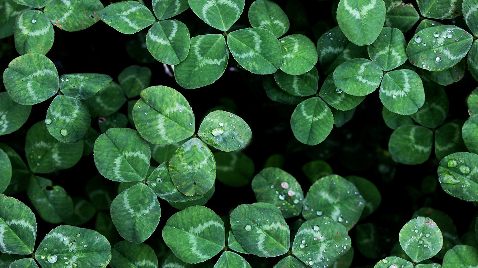 命中注定有贵人扶持的三大星座,这个星座居然排在其中!_工作_时候_难