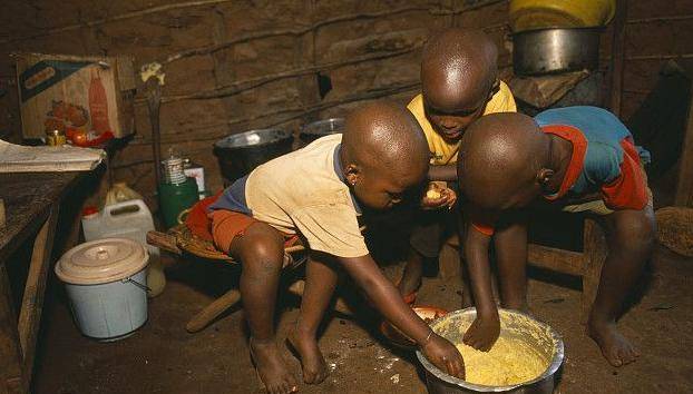 原创十万中国人到非洲种菜二十年了为啥不回国这还得问问非洲女人