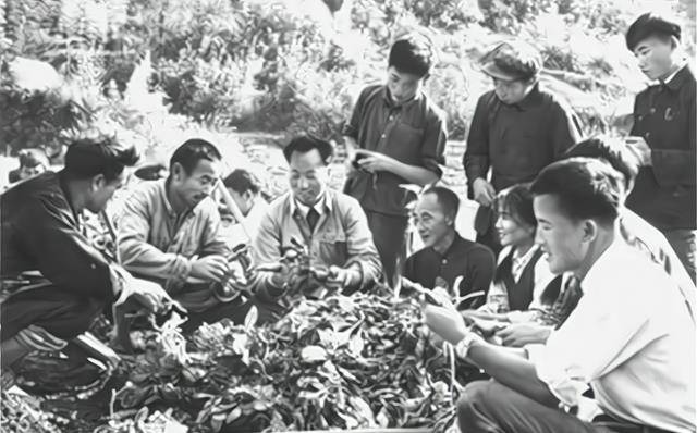 晚清民国时期,国家再次陷入混乱,各股军阀势力互相攻讦,导致饿殍千里