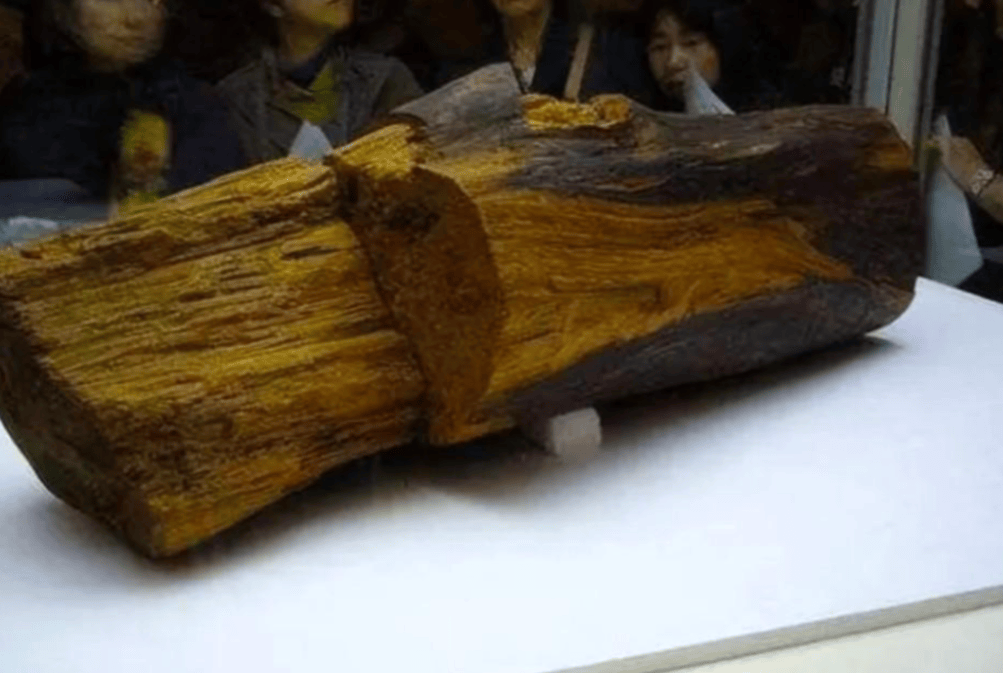 一块木头,如今被日本奉为国宝,连天皇也不能动它_沉香_足利义教_陛下