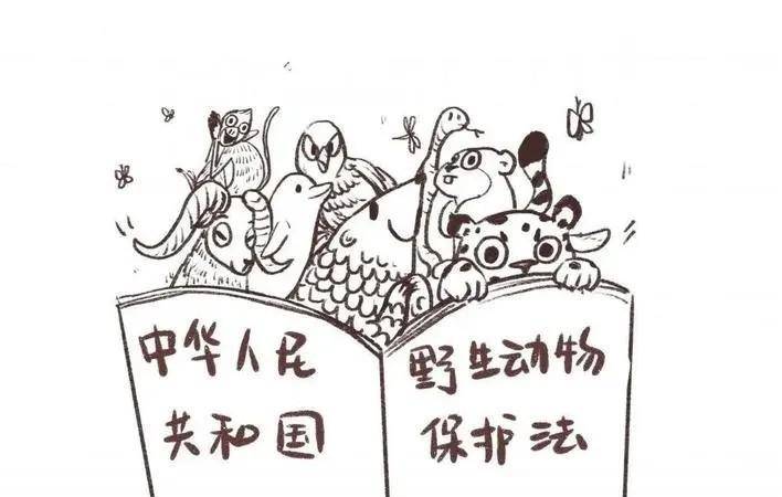 而闫啸天不仅如此他还非法收购野生动物,决定数罪并罚,判处闫啸天10年