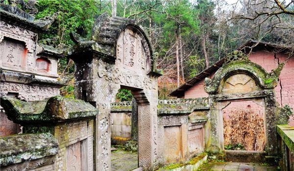 被蛇追杀5年的人令人不可思议的真事当年发生了什么