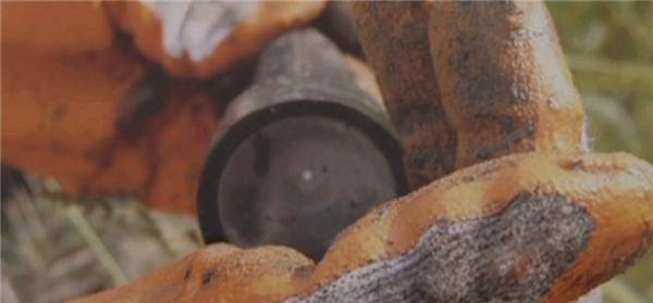 苍蝇群指引的案中案现场挖出焚烧过的纸钱手电筒亮了长达半年