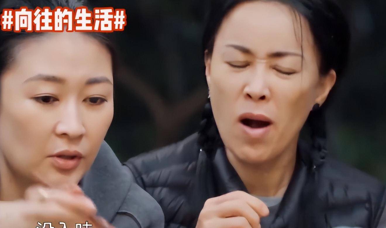 原创暖心大姐那英暗讽刀郎毁姚贝娜梦想她到底背了多少锅