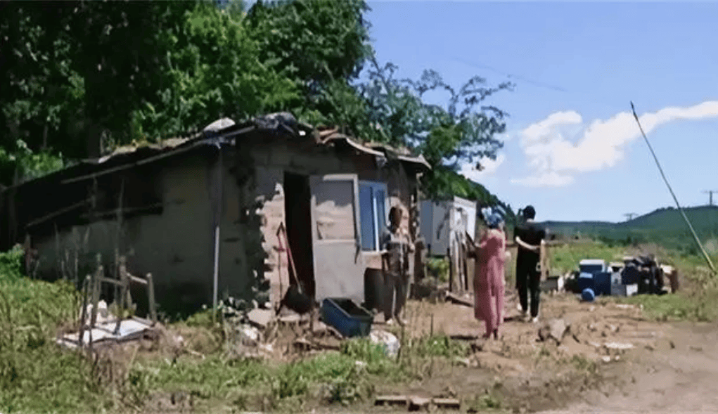 蛇能被养熟吗一农妇与蛇窝同居十年泰国毒王却被一口咬死