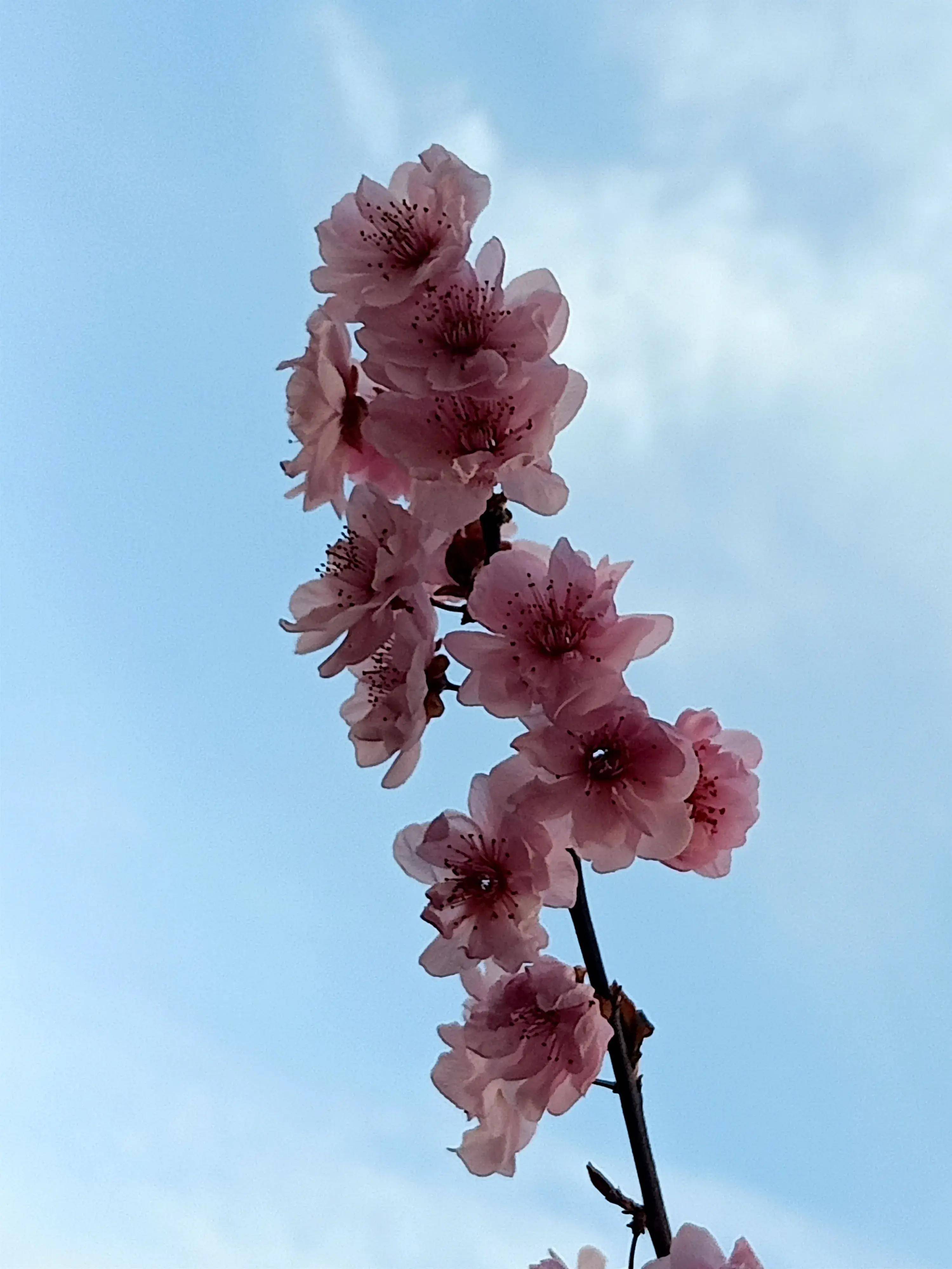 无法逆转的时间长河在我们的生活中,关系的变化如同时间的流逝,总是