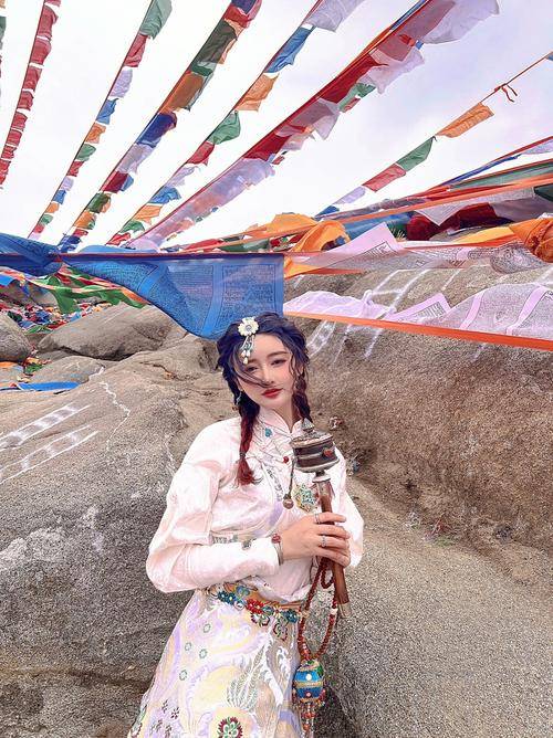 大昭寺85,哲蚌寺50,色拉寺50,卡定沟20,扎什伦布寺100,南伊沟200,米堆