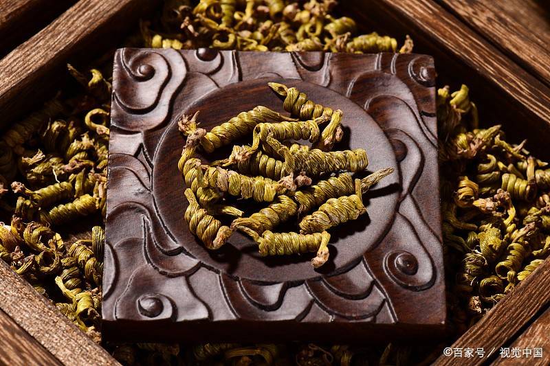 石斛泡水喝的功效和作用,好处多多哦,清肺又补胃_铁皮_活力_植物